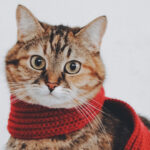 Portrait Photographer Bournemouth UK